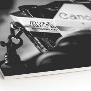 CARTON PLUMA